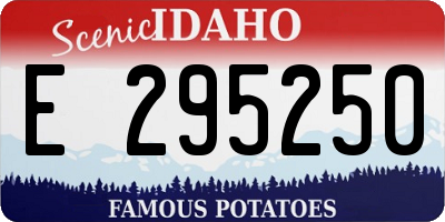 ID license plate E295250