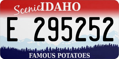 ID license plate E295252
