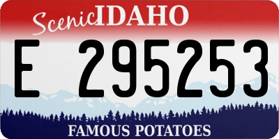 ID license plate E295253