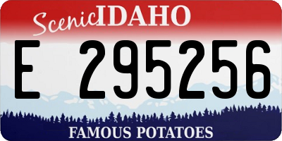 ID license plate E295256