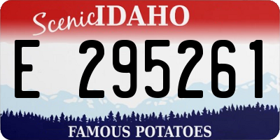 ID license plate E295261