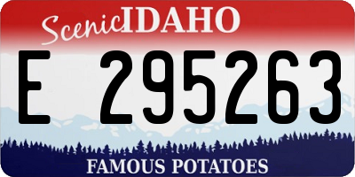 ID license plate E295263