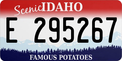 ID license plate E295267