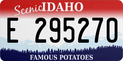 ID license plate E295270
