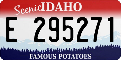 ID license plate E295271