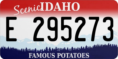 ID license plate E295273