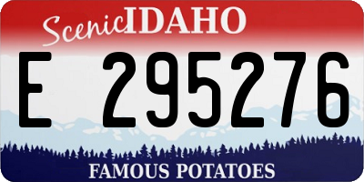 ID license plate E295276