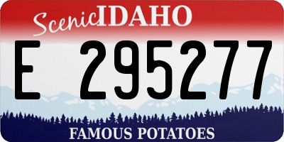 ID license plate E295277