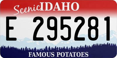 ID license plate E295281