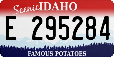 ID license plate E295284