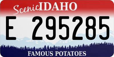 ID license plate E295285
