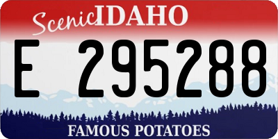 ID license plate E295288