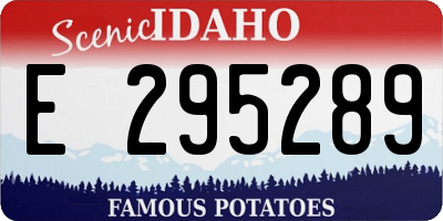 ID license plate E295289