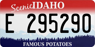 ID license plate E295290
