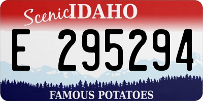 ID license plate E295294