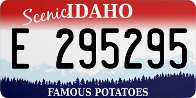 ID license plate E295295