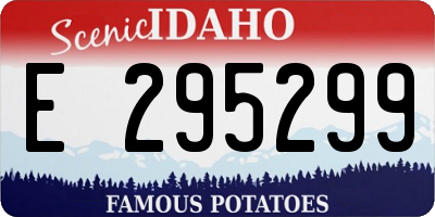 ID license plate E295299