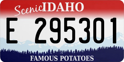 ID license plate E295301
