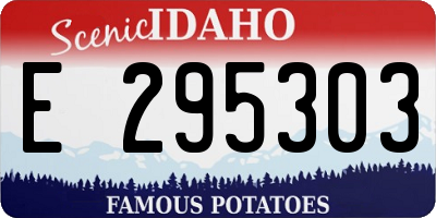 ID license plate E295303