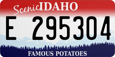 ID license plate E295304