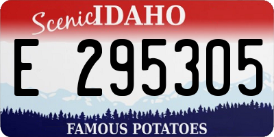 ID license plate E295305