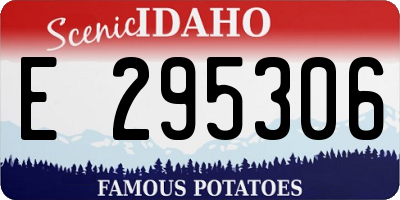 ID license plate E295306