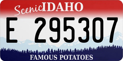 ID license plate E295307