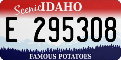 ID license plate E295308
