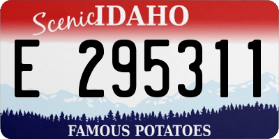 ID license plate E295311