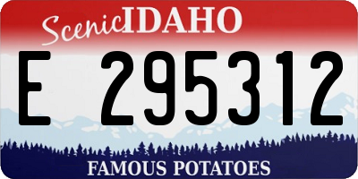 ID license plate E295312