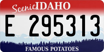 ID license plate E295313