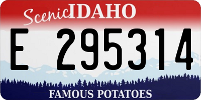 ID license plate E295314