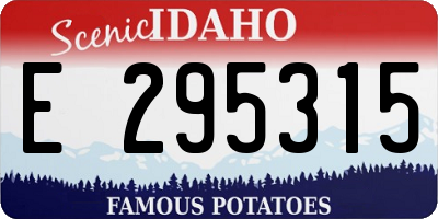 ID license plate E295315