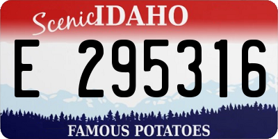 ID license plate E295316