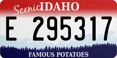 ID license plate E295317