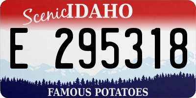 ID license plate E295318
