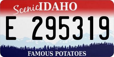 ID license plate E295319