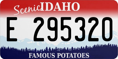 ID license plate E295320
