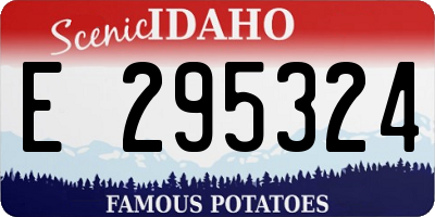 ID license plate E295324