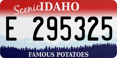 ID license plate E295325