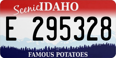 ID license plate E295328