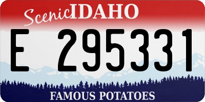 ID license plate E295331