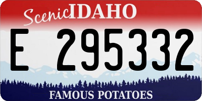 ID license plate E295332