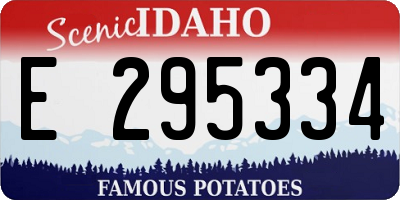 ID license plate E295334