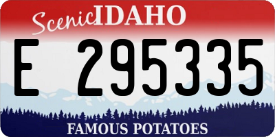ID license plate E295335