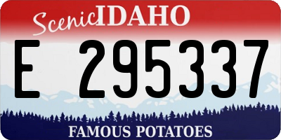 ID license plate E295337
