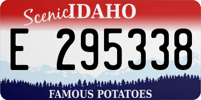 ID license plate E295338