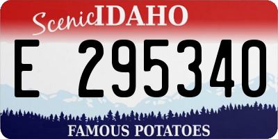 ID license plate E295340