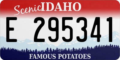 ID license plate E295341