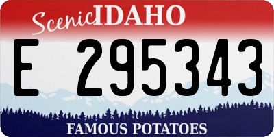 ID license plate E295343
